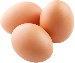 Egg