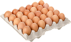 Eggs Tray